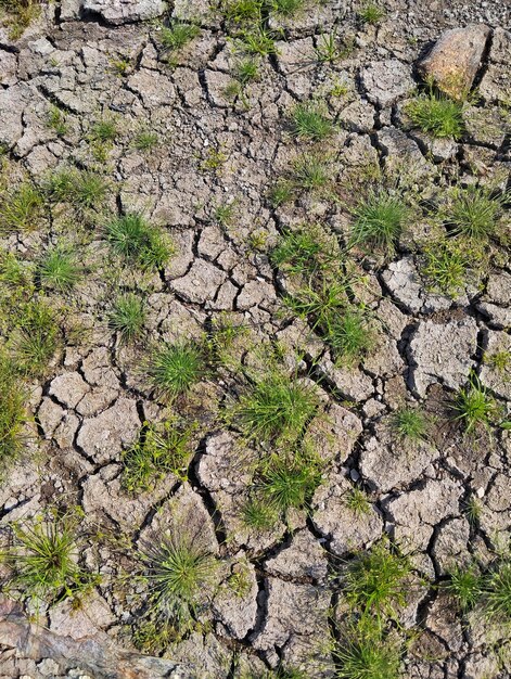 Foto droge gebarsten bodem bovenbeeld van het droge veld met enkele kleine groene planten