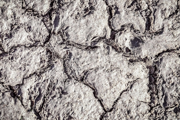 Foto droge gebarsten grond als textuur