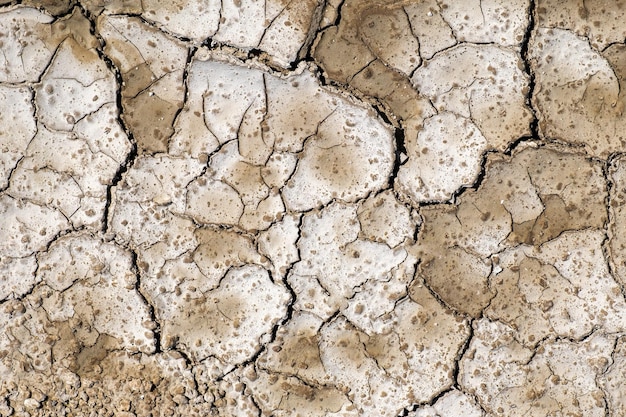 Droge gebarsten krijtweg in het proces van droogte en gebrek aan regen of vocht de gebarsten bodem van de aarde als gevolg van klimaatverandering hydrologische droogte ecologische catastrofe