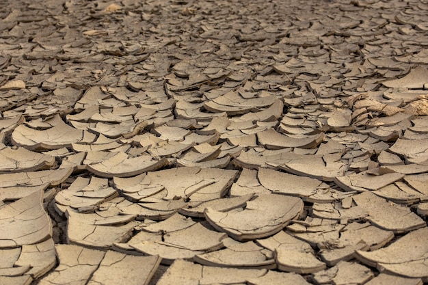 Droge gebarsten modderwoestijn zoals grijze achtergrond verschroeide aarde met selectieve focus en vervaging