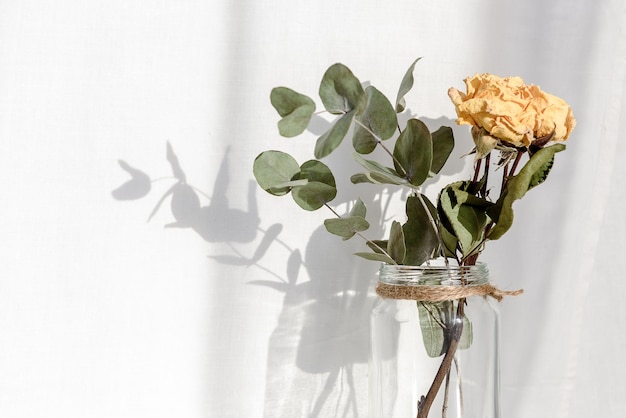 Droge gele rozen in een glazen pot op een witte achtergrond, lange schaduwen op de muur