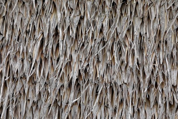 Droge gras dakbedekking of muur achtergrond Tropisch dak op het strand