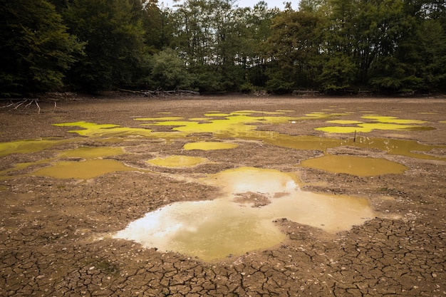 Foto droge kleigrond met een plas vuil water en grote scheuren