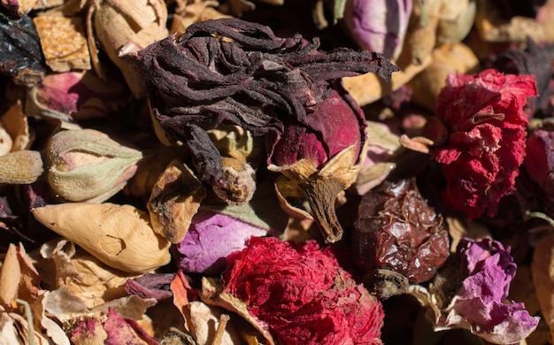 Droge kruidenplant op de markt te koop