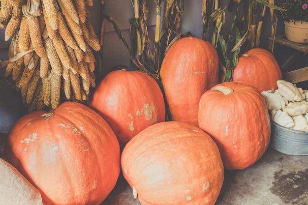 Droge maïspompoenen en herfstbloemendecoratie