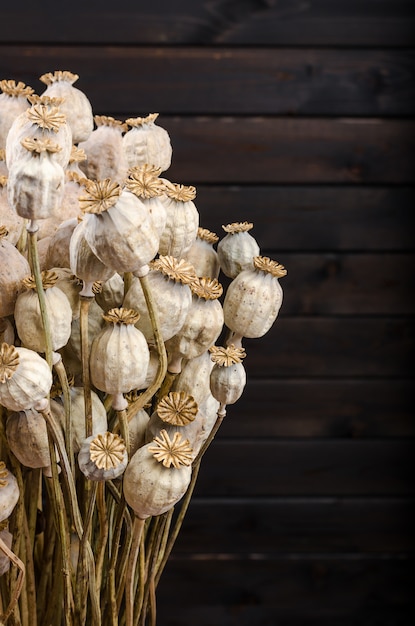 Droge papaver op een donkere houten achtergrond. Boeket.