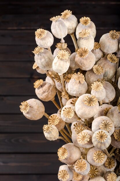 Droge papaver op een donkere houten achtergrond. Boeket.