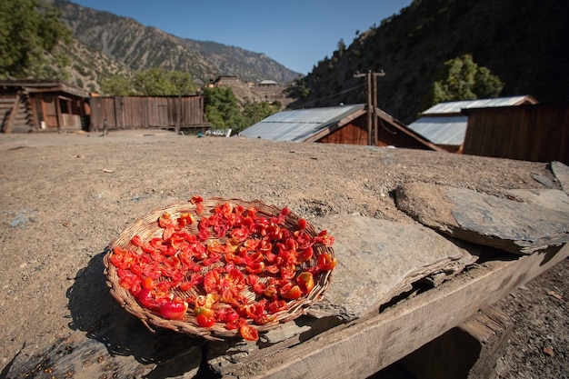 Droge tomaten op de zon in het berggebied van Pakistan