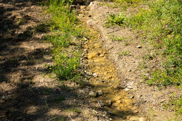 Drogende bergbeek op de hellingen van de Krim-bergen.