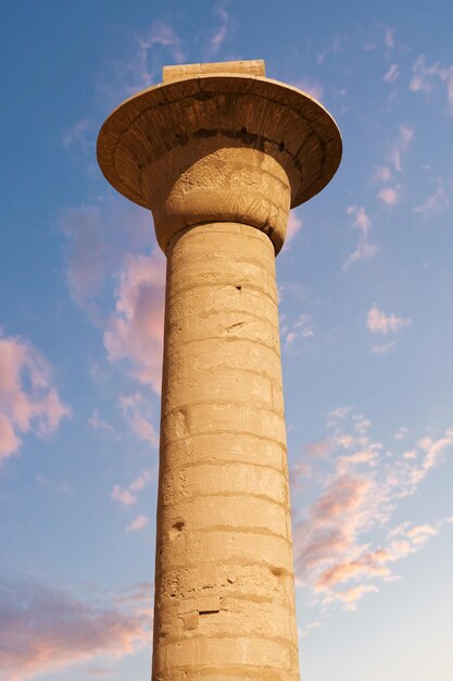 Foto dromedar kameel op de achtergrond zand van hete woestijn egypte sinaï