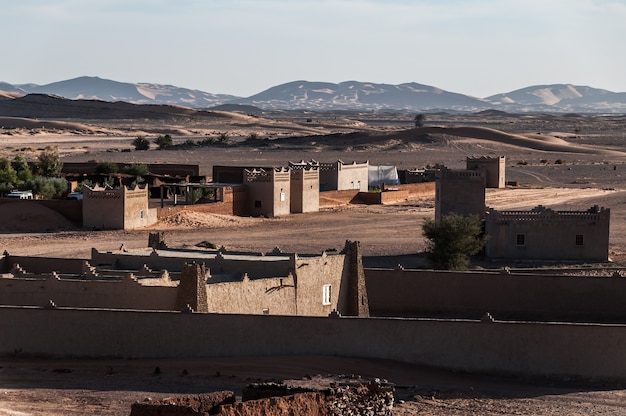 Foto dromedari, cammelli e berberi in marocco