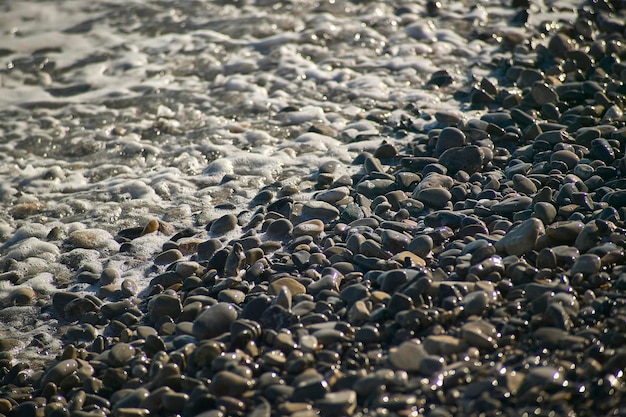 Dromen aan zee