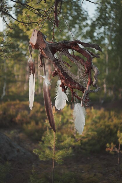 Foto dromenvanger in het bos handgemaakt decoratief ornament gemaakt van boomwortel en veren