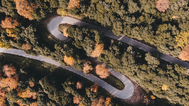 Фото Дрон / вид с воздуха на извилистой дороге в середине леса на закате осенью
