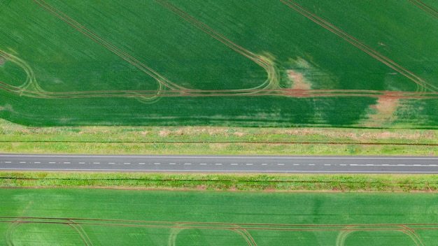 道路で区切られた明るい緑の麦畑のドローン空撮写真