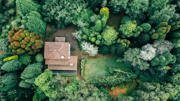 drone aerial view of red roof tile house surrounded by trees