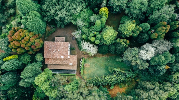 Drone aerial view of red roof tile house surrounded by trees