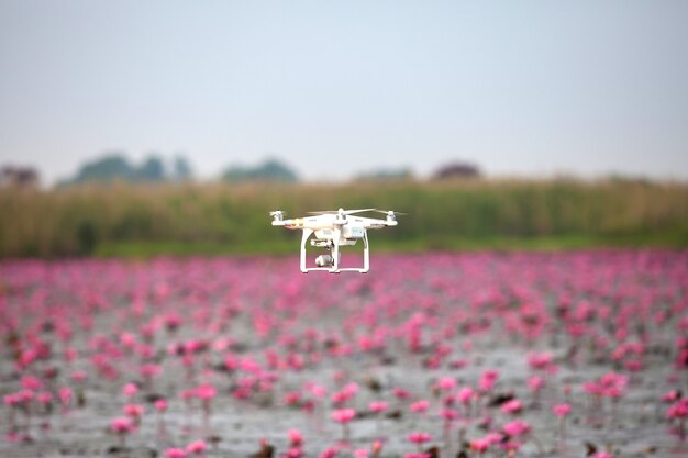 Drone aircraft  hovering on lake of pink lotus.