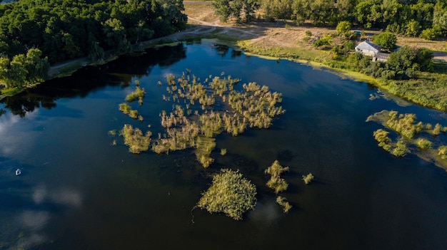 Drone foto over prachtig meer met groene bomen