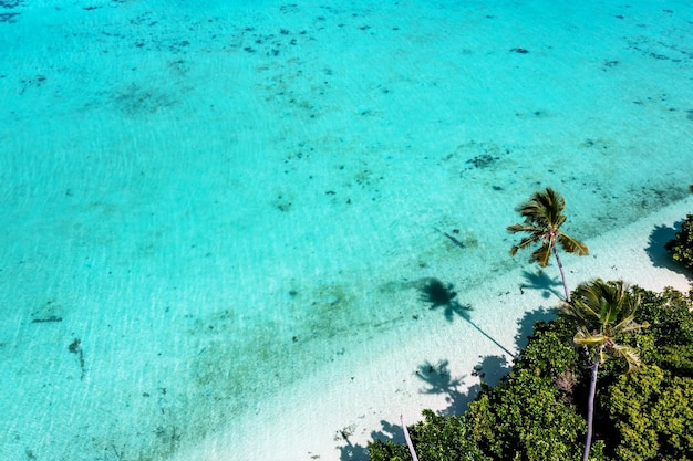 Drone oogpunt van tropisch eiland met kopieerruimte Maiga met palmbomen en turquoise gekleurde zee in Semporna Sabah Borneo, Maleisië