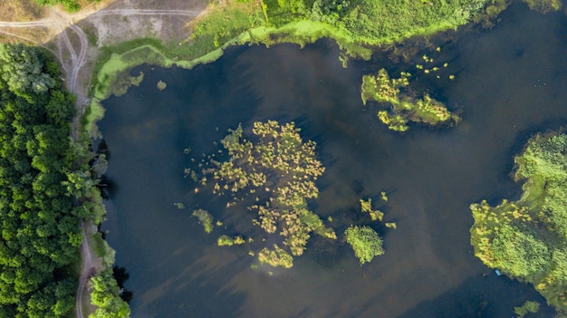 Drone photo over beautiful lake with green trees