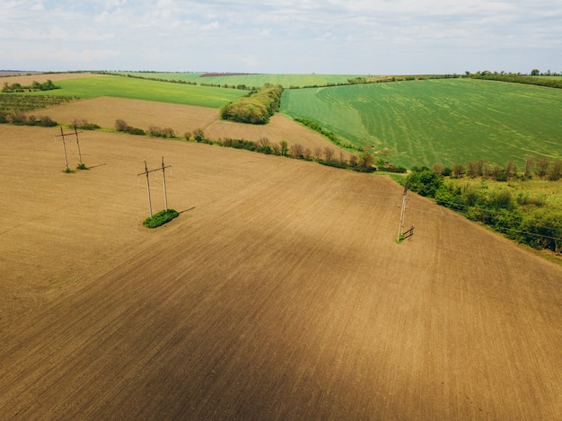 Foto del fuco della terra dell'azienda agricola del cereale durante il tempo di primavera