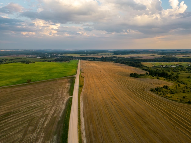 Drone photo of a young green wheat field divided by a road Aerial view of a farmers field Abstract patterns and straight lines on agricultural land