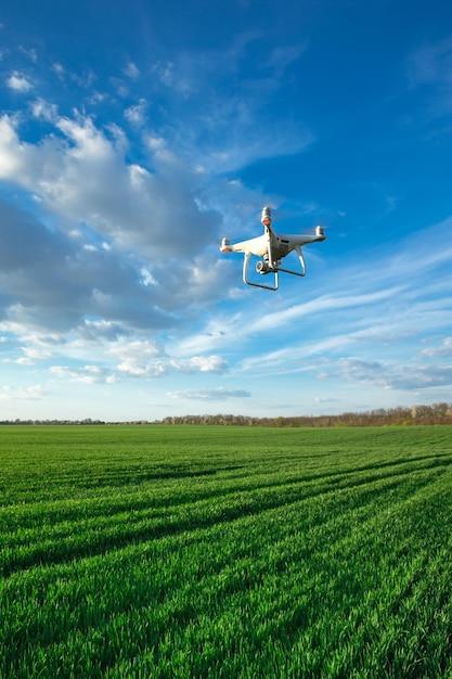 Drone quad elicottero sul campo di mais verde