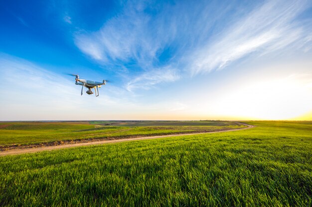 Drone quad copter on green corn field