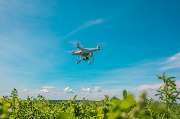 Drone quad copter on green corn field