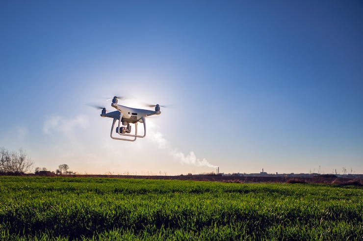 Фотография drone quad copter на зеленом кукурузном поле