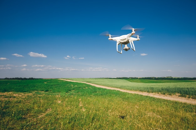 Drone quad copter on green corn field