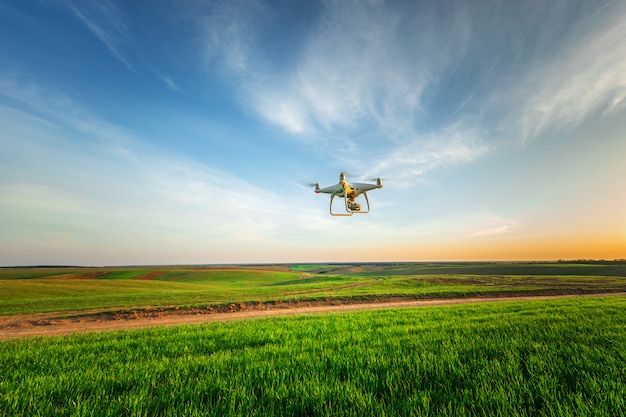 Drone quad copter on yellow corn field