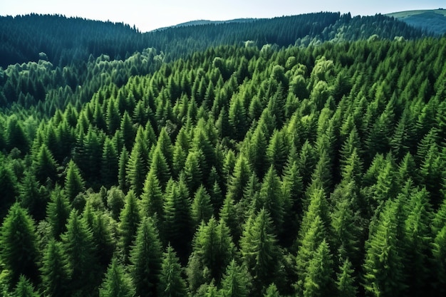 Photo drone's eye captures the spectacular summer meadow bordering mountain forest a highquality 32 aer