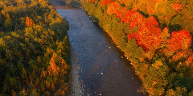 Drone'sEye View Scenic Mountain Road Alongside the River in Fall