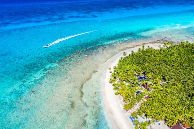 Drone uitzicht op Caribisch tropisch eiland strand met palmen en boot