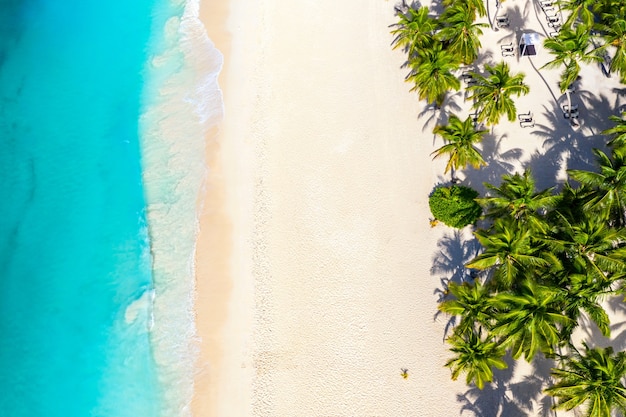 Drone uitzicht op Caribisch tropisch eiland strand
