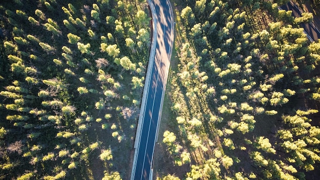 Drone-uitzicht op een kronkelende weg in het bos tussen de bomen. Spanje Gran Canaria