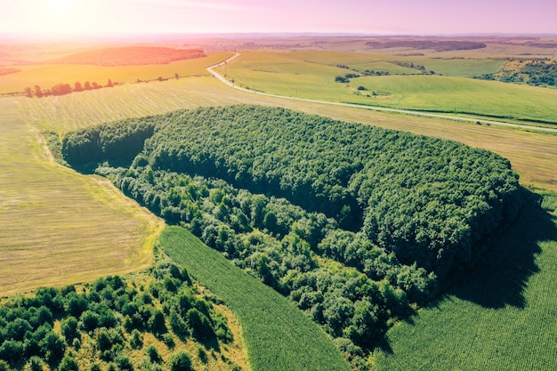 Drone-uitzicht op het platteland Zicht op bouwland en bos in een gecultiveerd veld in de zomer