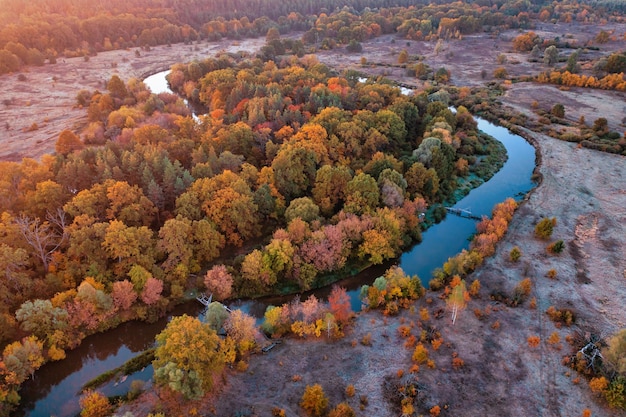 Drone vista foresta autunnale vicino al fiume nel prato fresca alba gelida