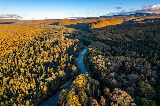 ロシア極東の秋の森と小さな山の川をドローンで見る