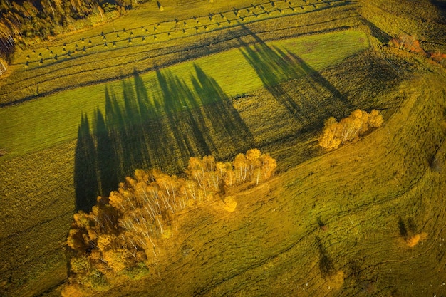 Drone view of autumn meadow and forest Aerial nature shot