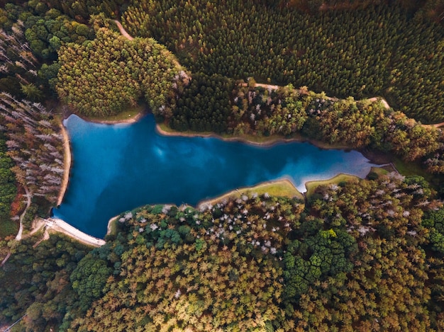 Foto vista drone di un bellissimo bosco autunnale dal cielo