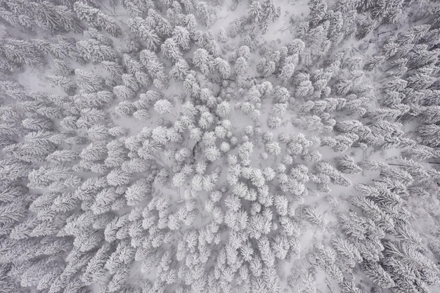 Drone view at mountain in winter