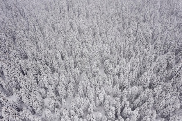 Drone view at mountain in winter