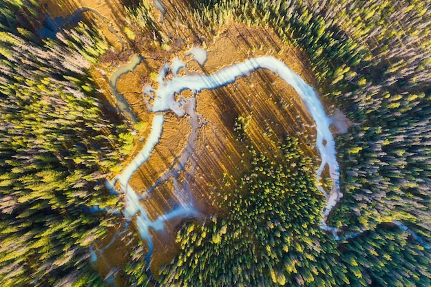 Foto una veduta drone del fiume nei boschi una veduta aerea di una foresta autunnale fiume tortuoso tra gli alberi acqua di montagna turchese paesaggio con luce soffusa prima del tramonto alberta canada