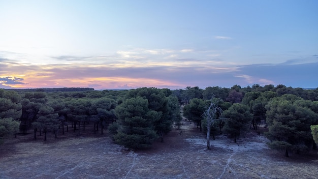 Drone view of sunset in the middle of the countryside with dirt roads and trees