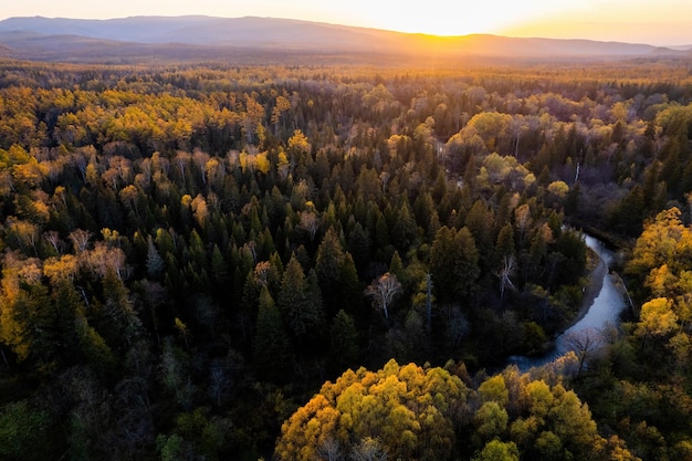 写真 ロシア極東の秋の森と小さな山の川をドローンで見る