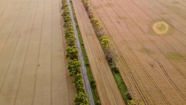 Drone vliegt over de weg tussen tarwevelden tijdens zonsopgang zonsondergang.