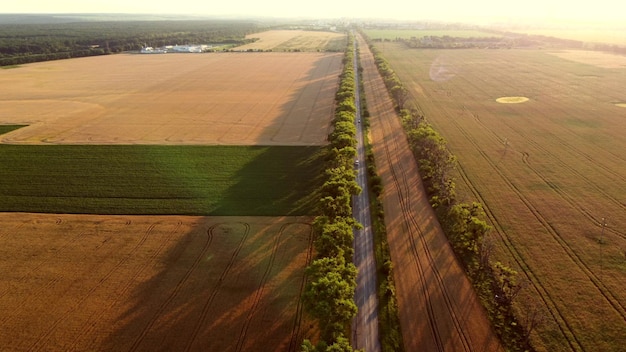 Drone vliegt over weg tussen tarwevelden tijdens zonsopgang zonsondergang